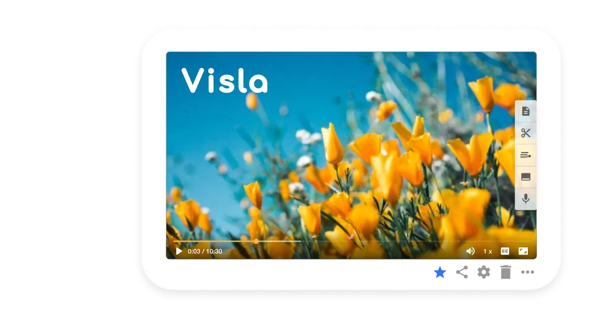 Find artistic content in Visla’s premium video library to make your videos more engaging and visually appealing.